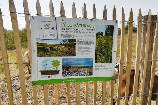 Collectivités - Alternature | Entretien par l'éco-pâturage en Alsace